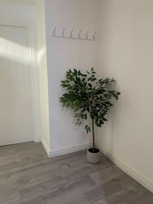 Modern 1-Bed Apartment 벨파스트 외부 사진