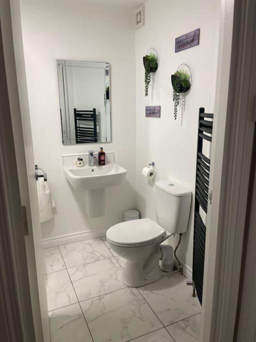 Modern 1-Bed Apartment 벨파스트 외부 사진